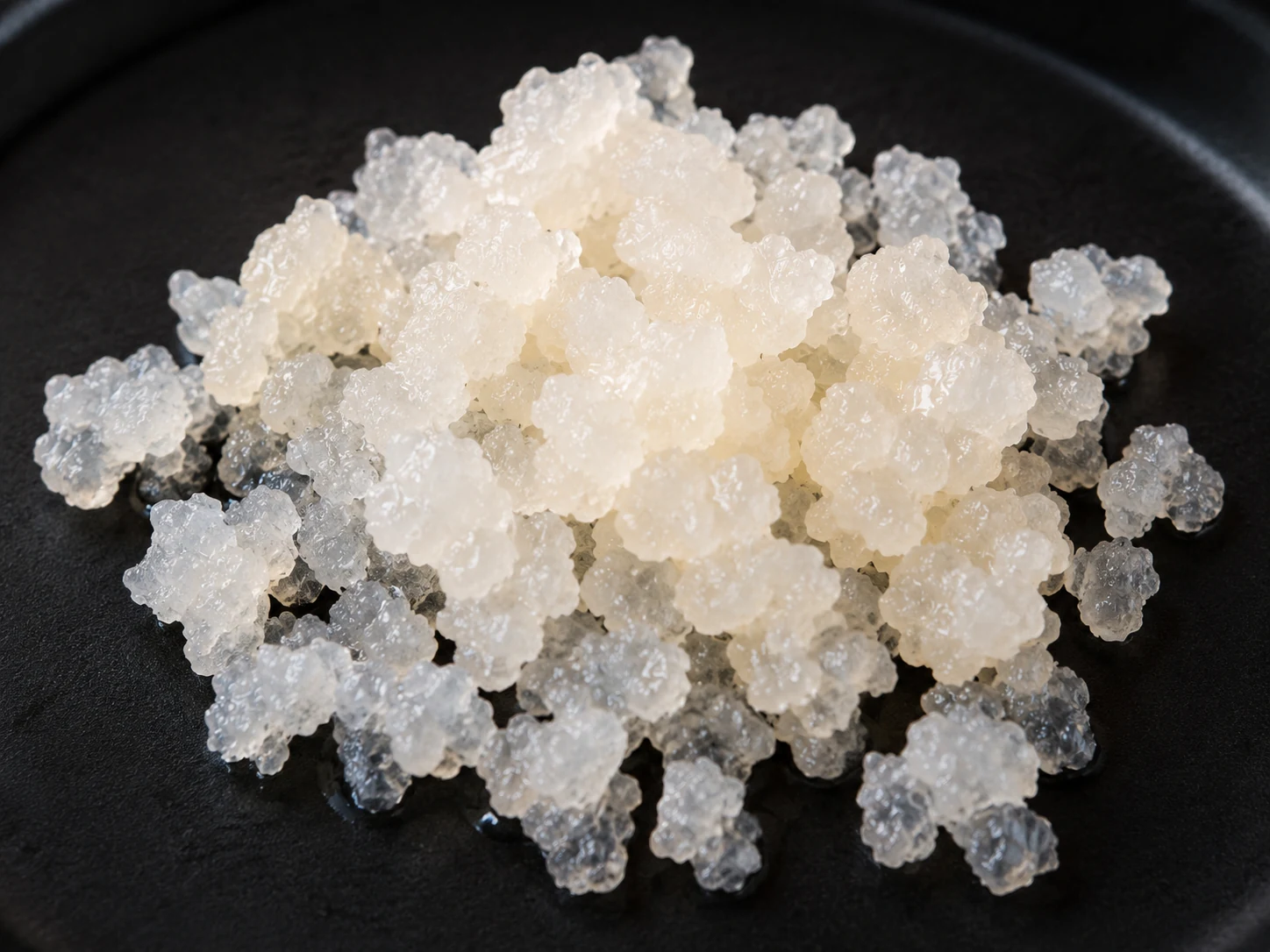 Waterkefir korrels