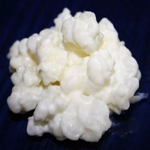 Productafbeelding melk kefir korrels