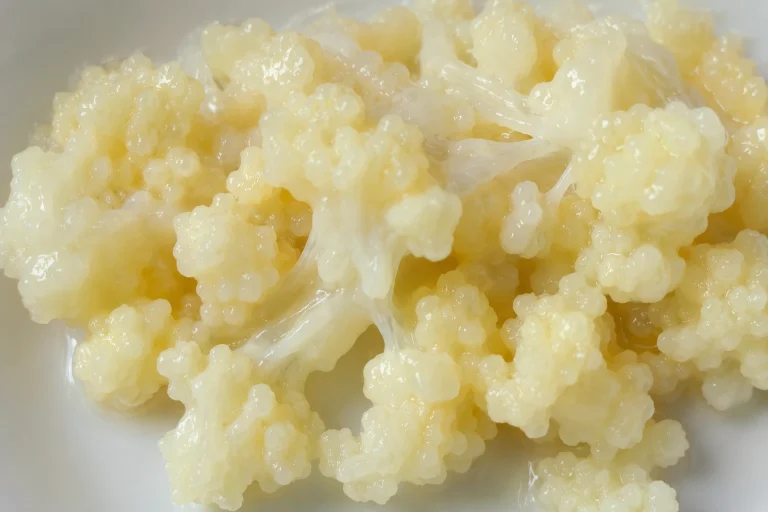 lijmerige melkkefir korrels met glibberige structuur en slijmdraden als gevolg van een tijdelijke verstoring van de bacteriecultuur.