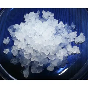 Waterkefir korrels op een schaaltje
